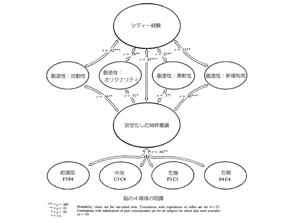 超越瞑想®︎の科学的研究 11 Enlightenment is Nearer Than You Think Shortest Version ja 16