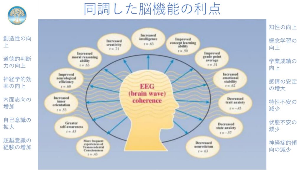 超越瞑想®︎の科学的研究 7 TM and the Immune System Ja 8